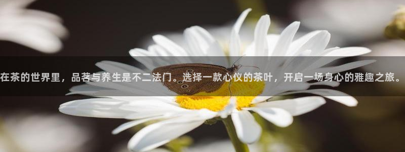 龙八国际娱乐地