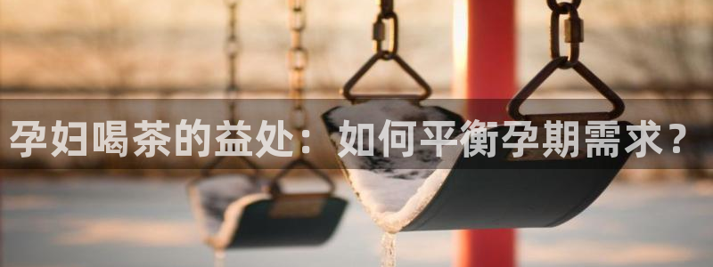 龙八国际刘佳烨