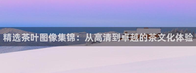 龙八国际是什么