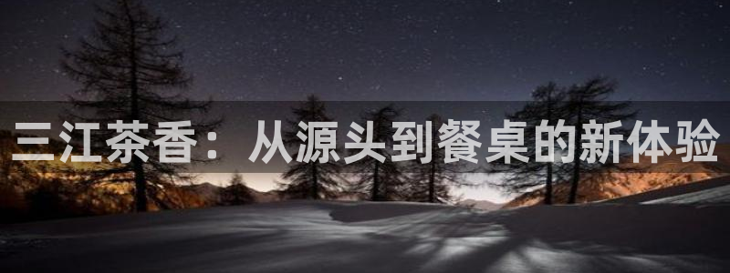 龙八国际手游