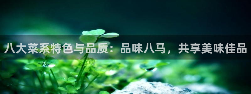龙八国际app联系方式