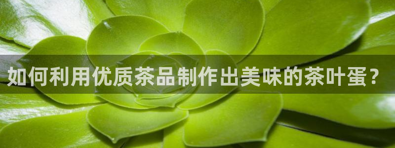 龙八国际下载链接手机端
