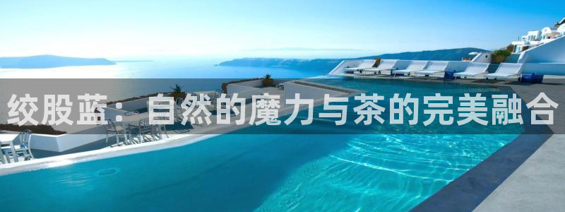 龙八国际客户端pt