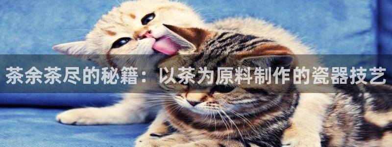龙八国际害死多少人