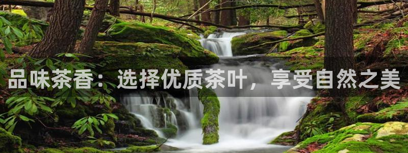 龙八国际mg老虎机