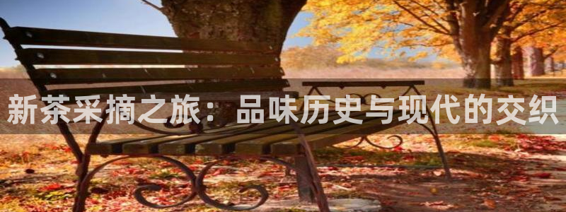 龙八国际APP客户