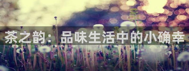 龙八国际登录注册