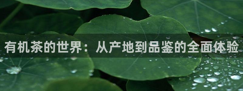 龙八国际试玩网页版