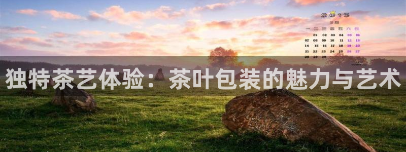龙八国际苹果版下载