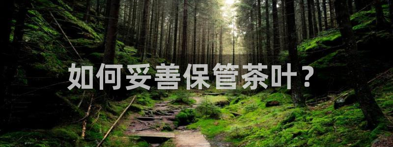 龙八国际可以京东充值吗