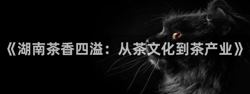 龙八国际怎么注册下载