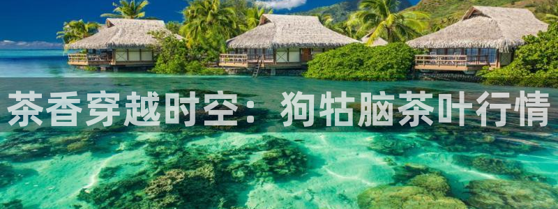 龙八国际官方网址