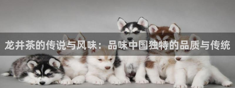 龙八国际App下载地址