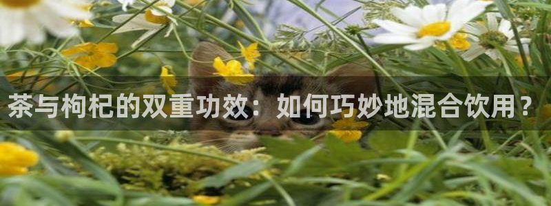 龙八国际网站