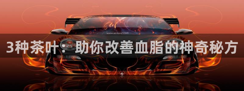 龙八国际优惠券