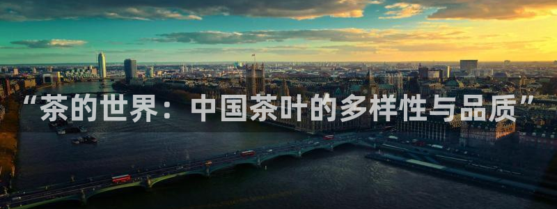 龙八国际花园宝宝