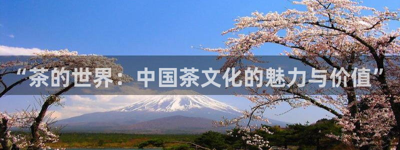 龙八国际游戏下载