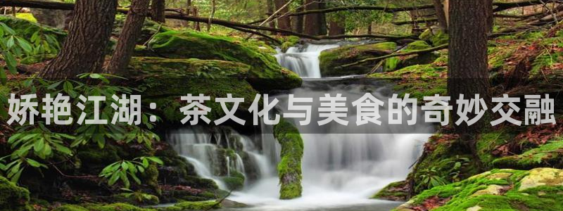 龙八国际服官网进入