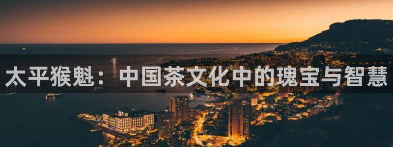 龙八国际这个平台在哪里
