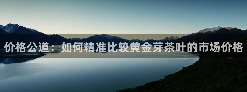 龙八国际娱乐充值