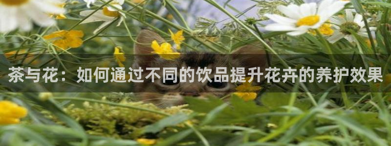 龙八国际app手机端
