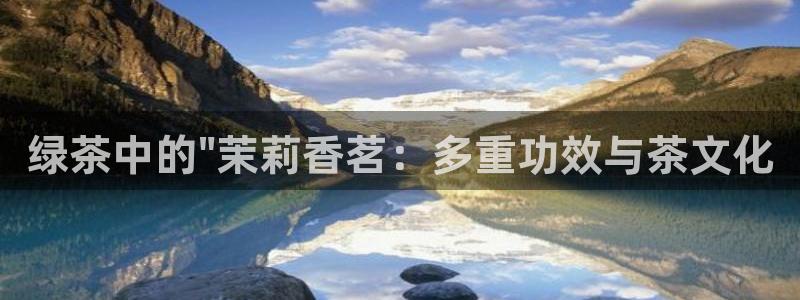 龙八国际手机客户端