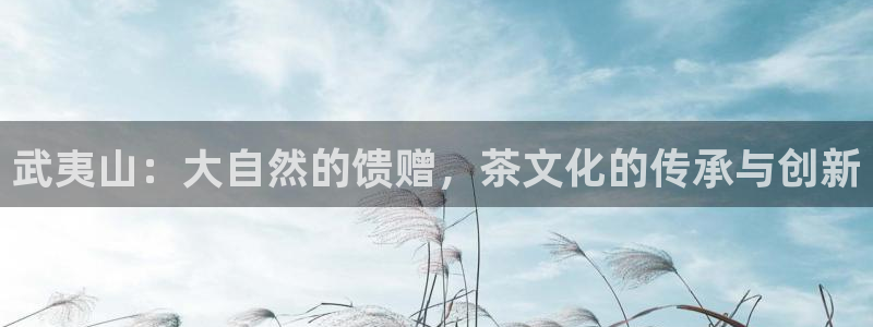 龙八国际股票