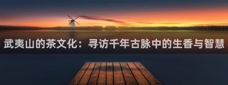 龙八国际手机版下载