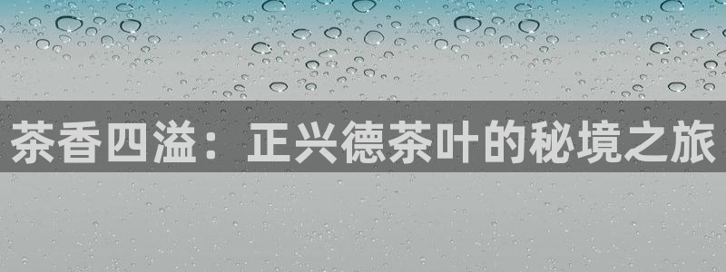 龙八国际网店客服电话