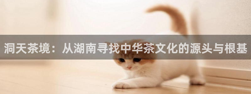 龙八国际怎么样
