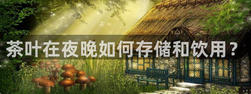 龙八国际是缅甸的吗