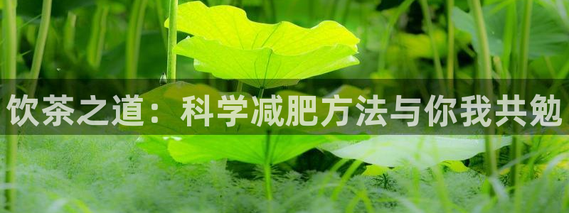 龙八国际app客户端下载安卓