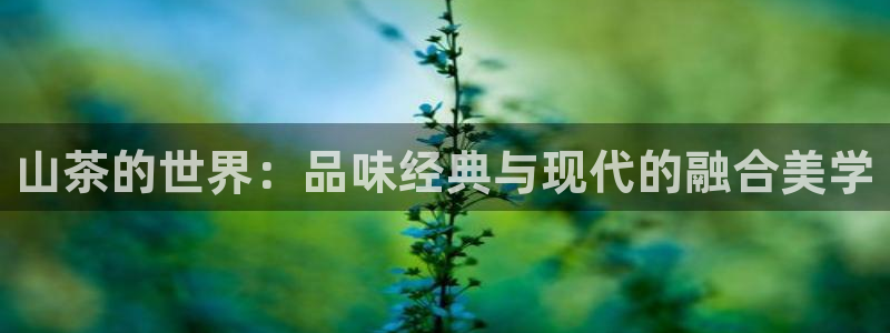 龙八国际棋牌官方网站