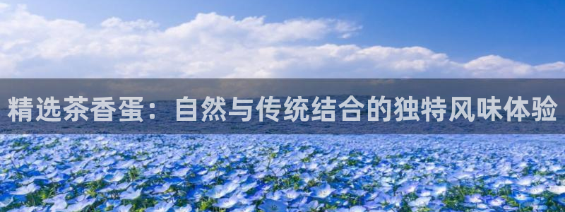 龙八国际娱乐官网多少