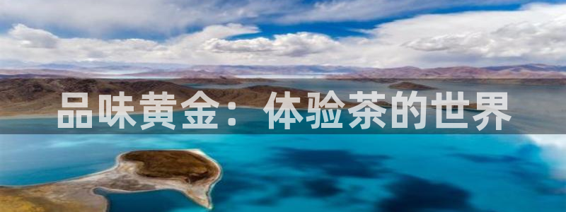 龙八国际国际娱乐官网