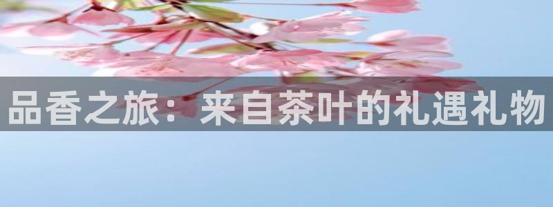 龙八国际app手机端