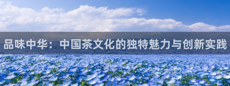 龙八国际服官网进入