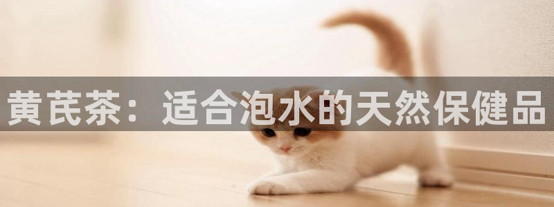 龙八国际官方娱乐网站com