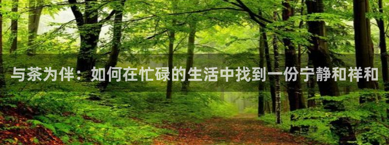 龙八国际app官网