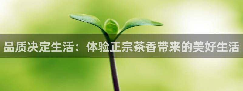 龙八国际网页long8.hn