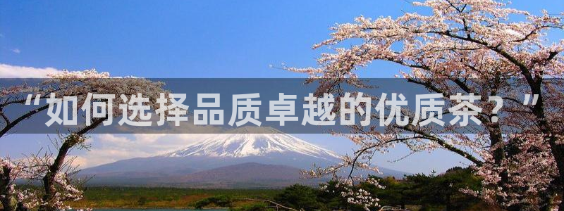 龙八国际怎么注册下载