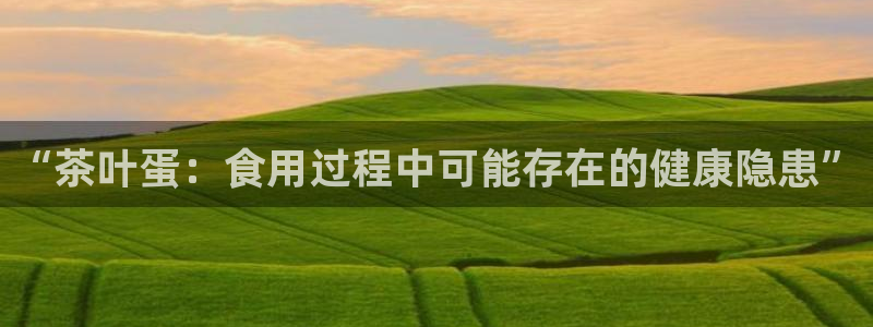 龙八国际网页版本