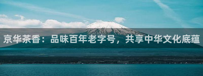 龙八国际集团有限公司