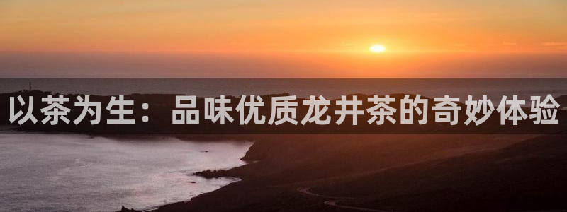 龙八国际服官网