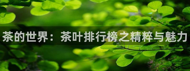 苹果怎么下载龙八国际