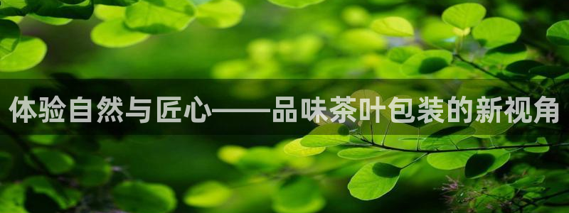 龙八国际音乐