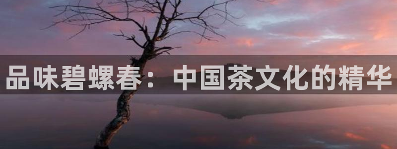 龙八国际有限责任公司