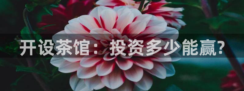 龙八国际链接