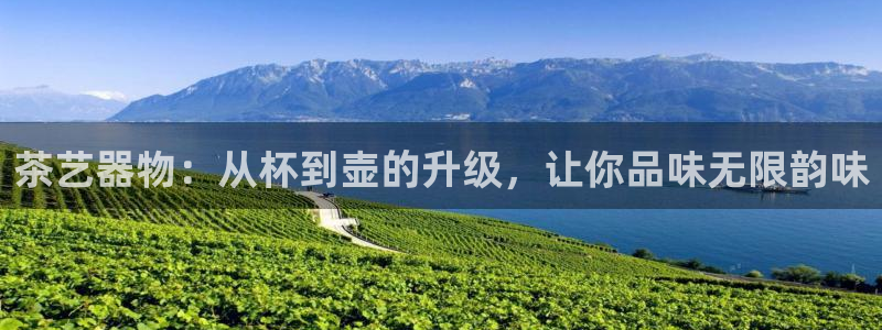 龙八国际在哪里啊