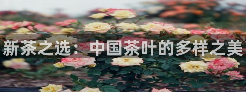 龙八国际官首页